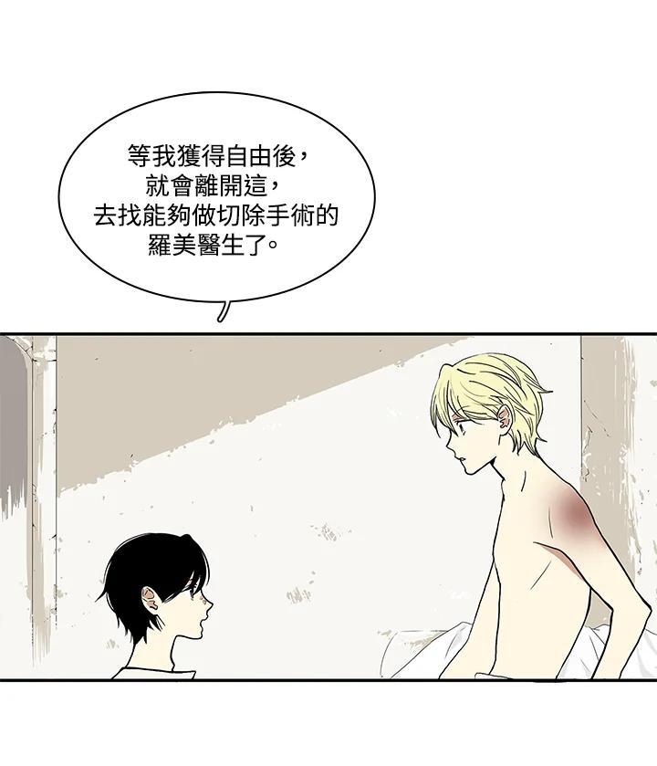 《梅蒂纳》第21话 第53页