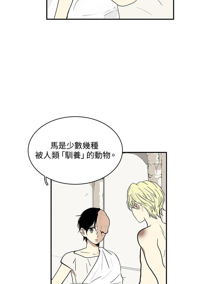 《梅蒂纳》第21话 第44页
