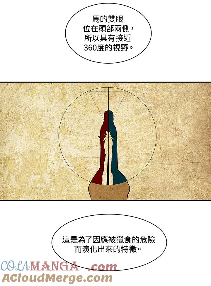 《梅蒂纳》第22话 第22页