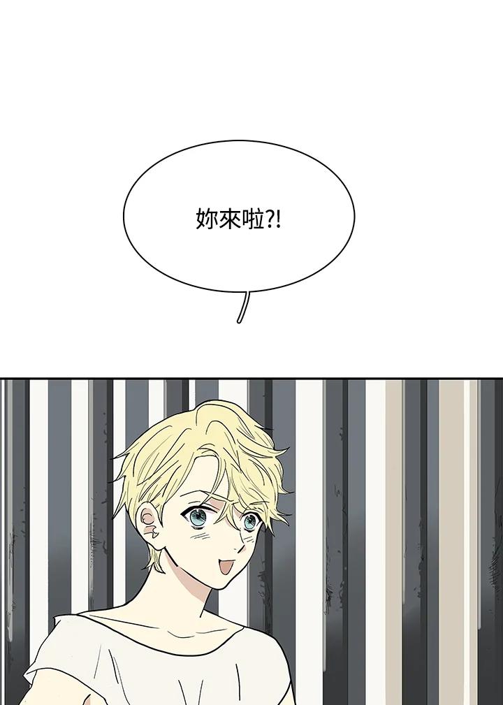 《梅蒂纳》第27话 第41页