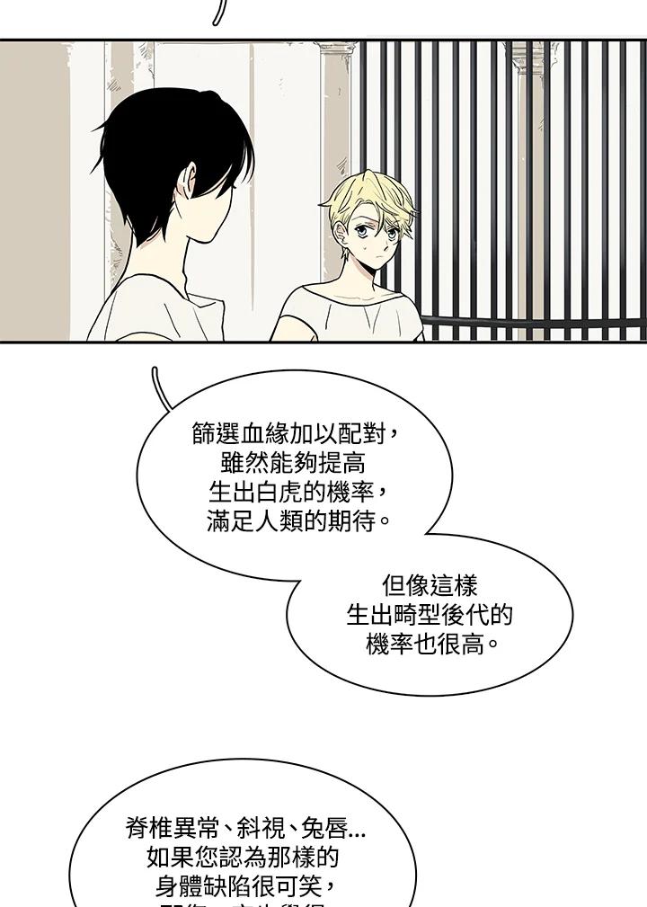 《梅蒂纳》第27话 第47页