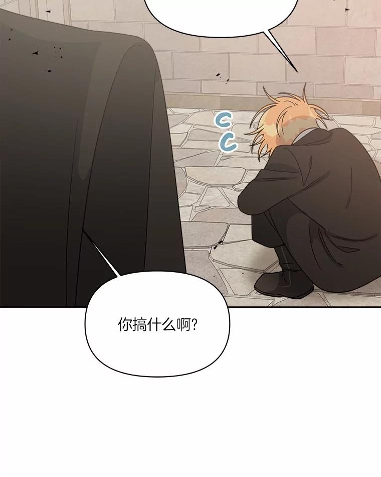 《三个世界》54.重新出现 第39页