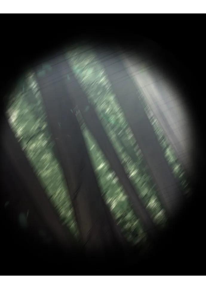 死神少年 - [第2部] 第50话 我会让你们痛苦地死去 - 第124张图