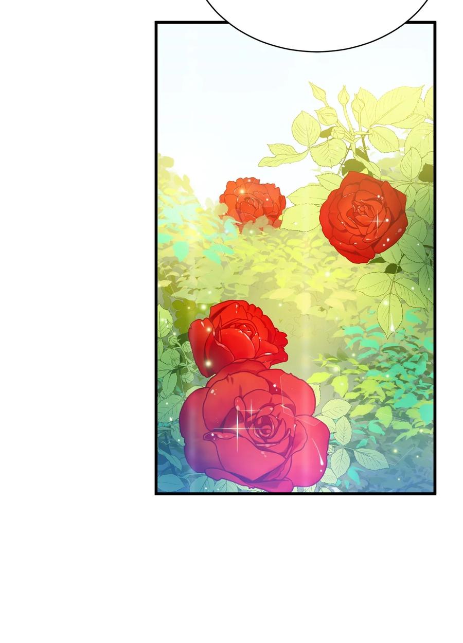 《虽然是魂穿游戏世界里女主的姐粉》02 政治联姻 第44页