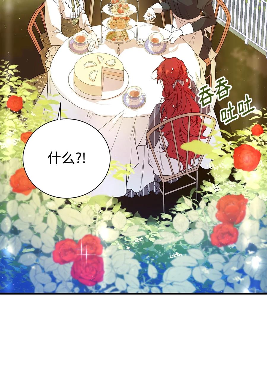 《虽然是魂穿游戏世界里女主的姐粉》02 政治联姻 第27页