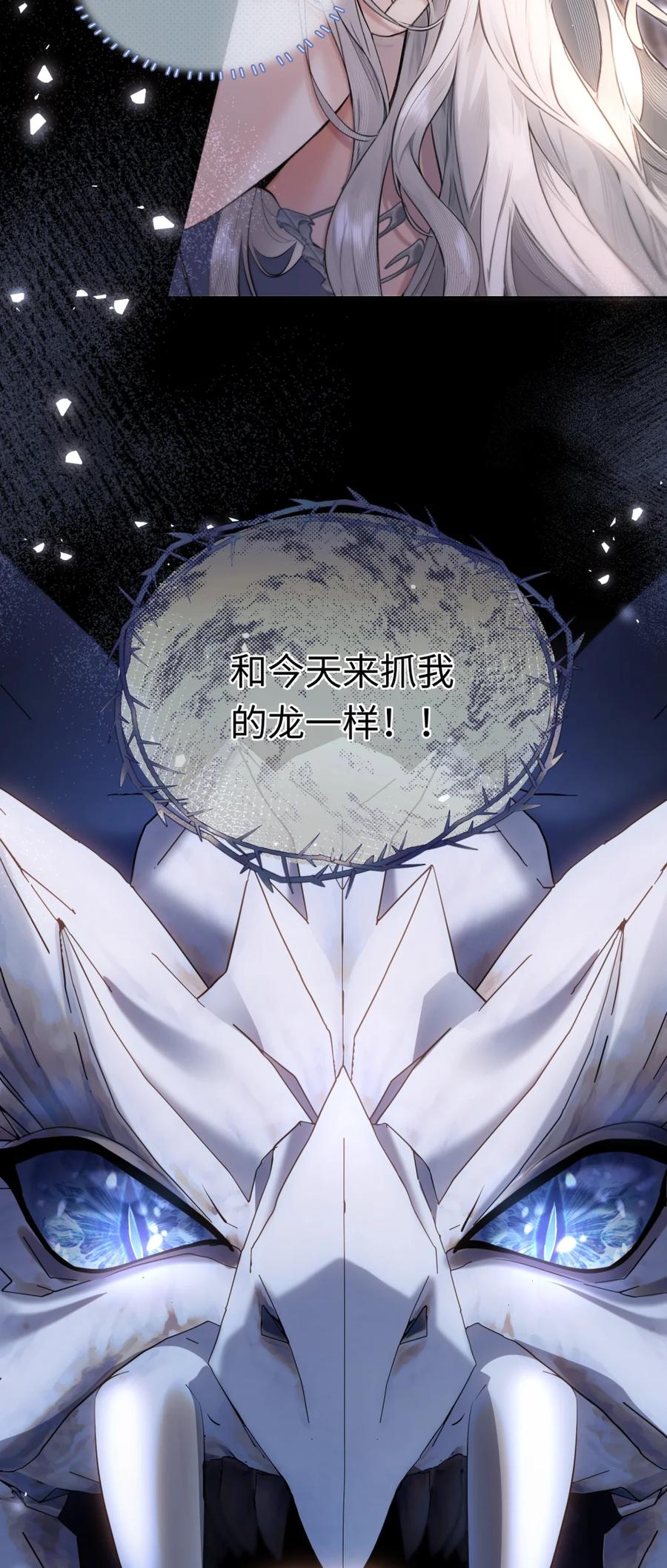 饲养恶龙的新娘 - 002 银发龙裔 - 第44张图