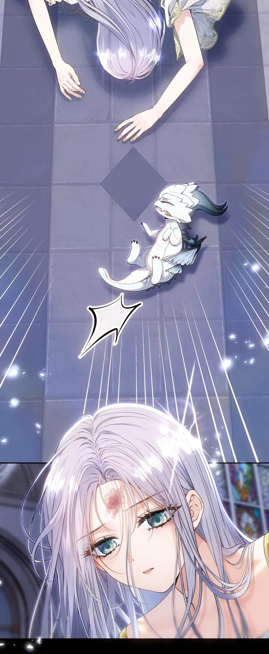 饲养恶龙的新娘 - 002 银发龙裔 - 第33张图