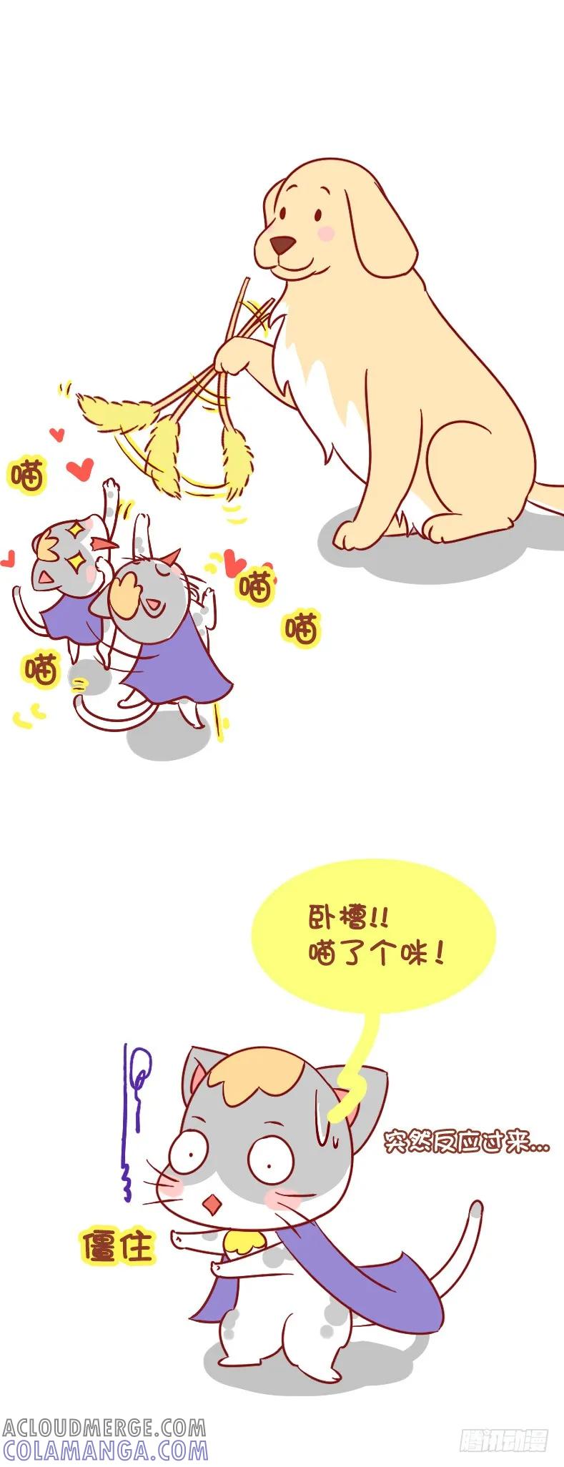 木木子漫画 喵星人和汪星人来自不同的星球 第3页
