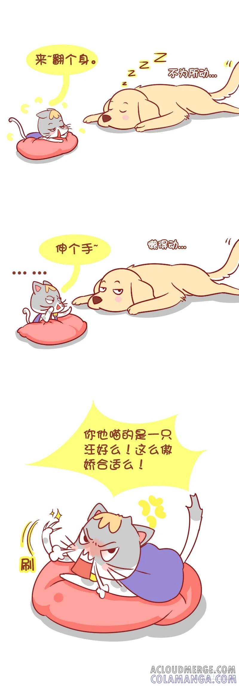木木子漫画 喵星人和汪星人来自不同的星球 第2页