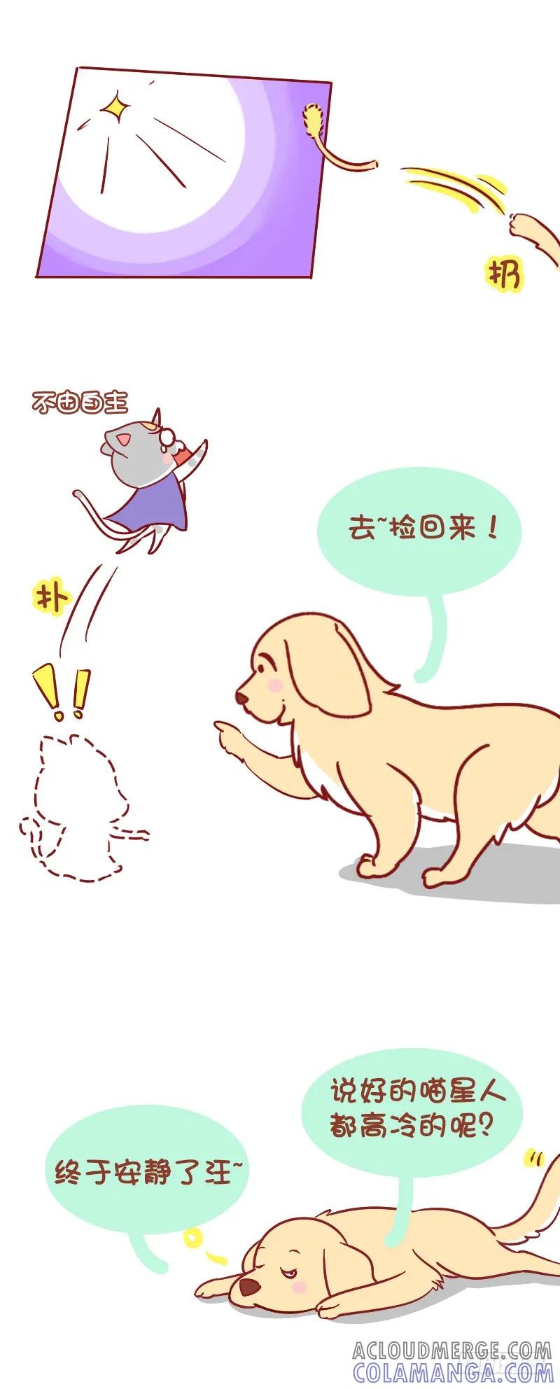 木木子漫画 喵星人和汪星人来自不同的星球 第4页