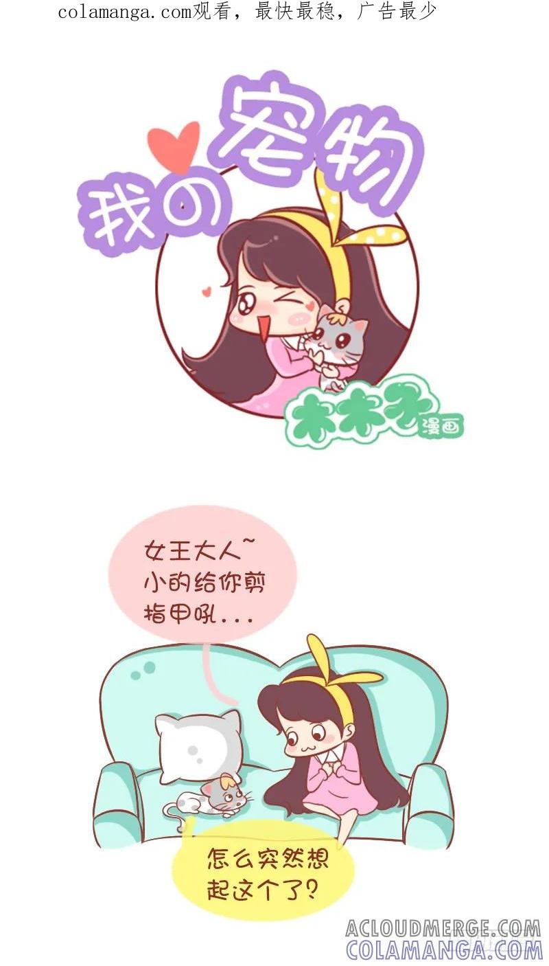 木木子漫画 猫奴的反击 第1页