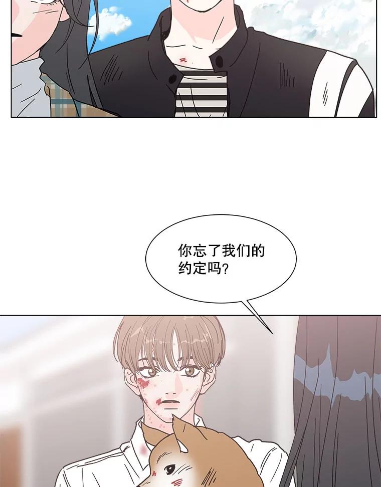 《青春之家》139.特性 第71页