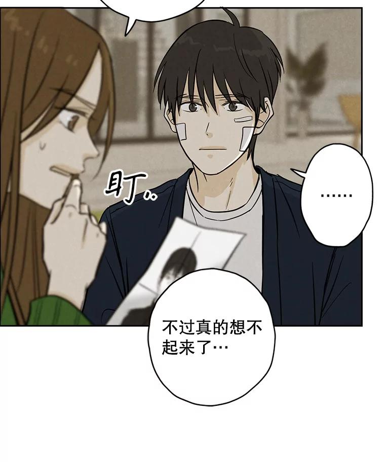 《消失的新郎》88.区别对待 第16页