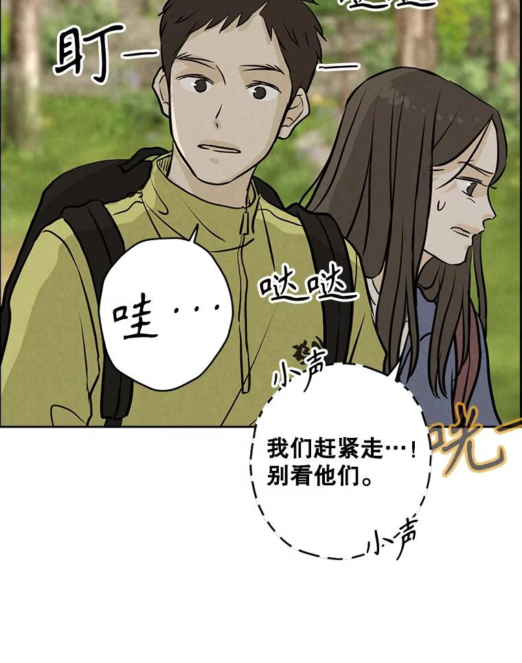 《消失的新郎》88.区别对待 第75页