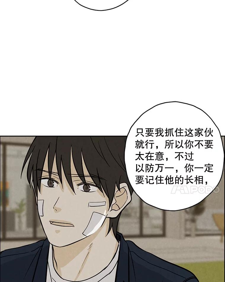 《消失的新郎》88.区别对待 第18页