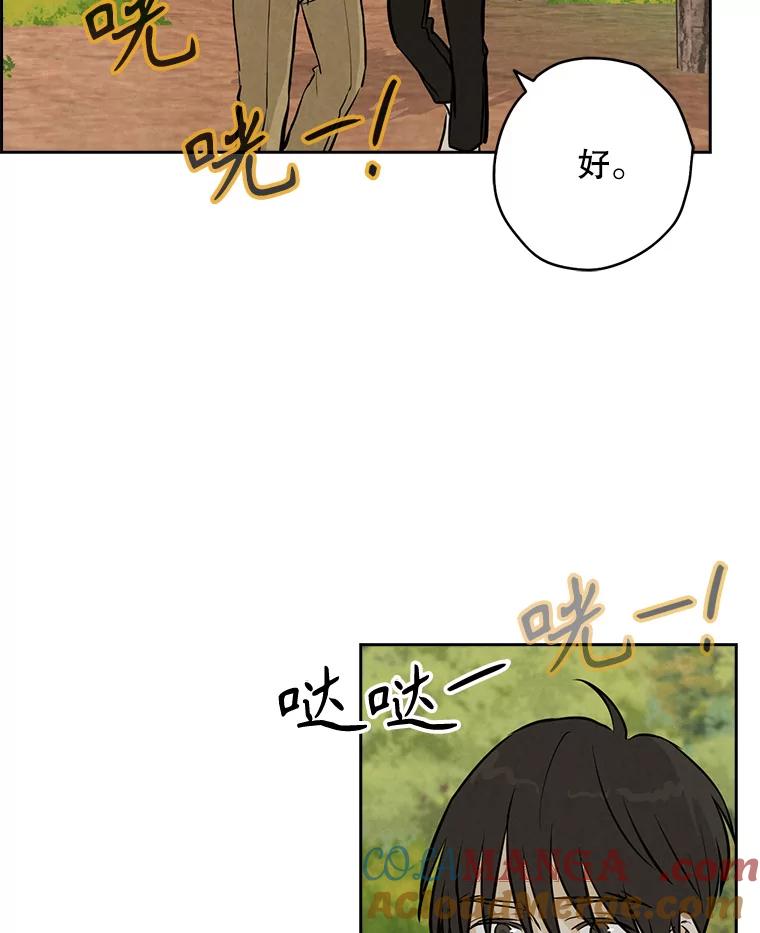 《消失的新郎》88.区别对待 第61页