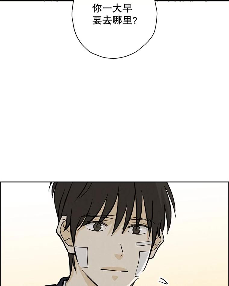 《消失的新郎》88.区别对待 第23页