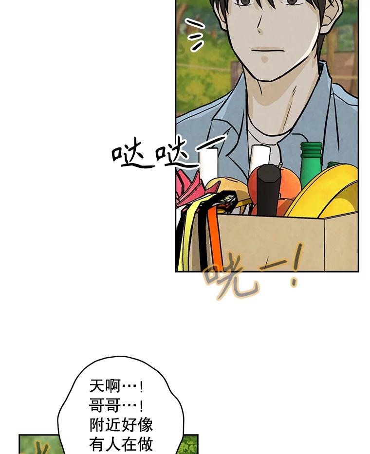 《消失的新郎》88.区别对待 第62页