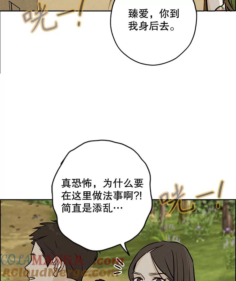 《消失的新郎》88.区别对待 第65页