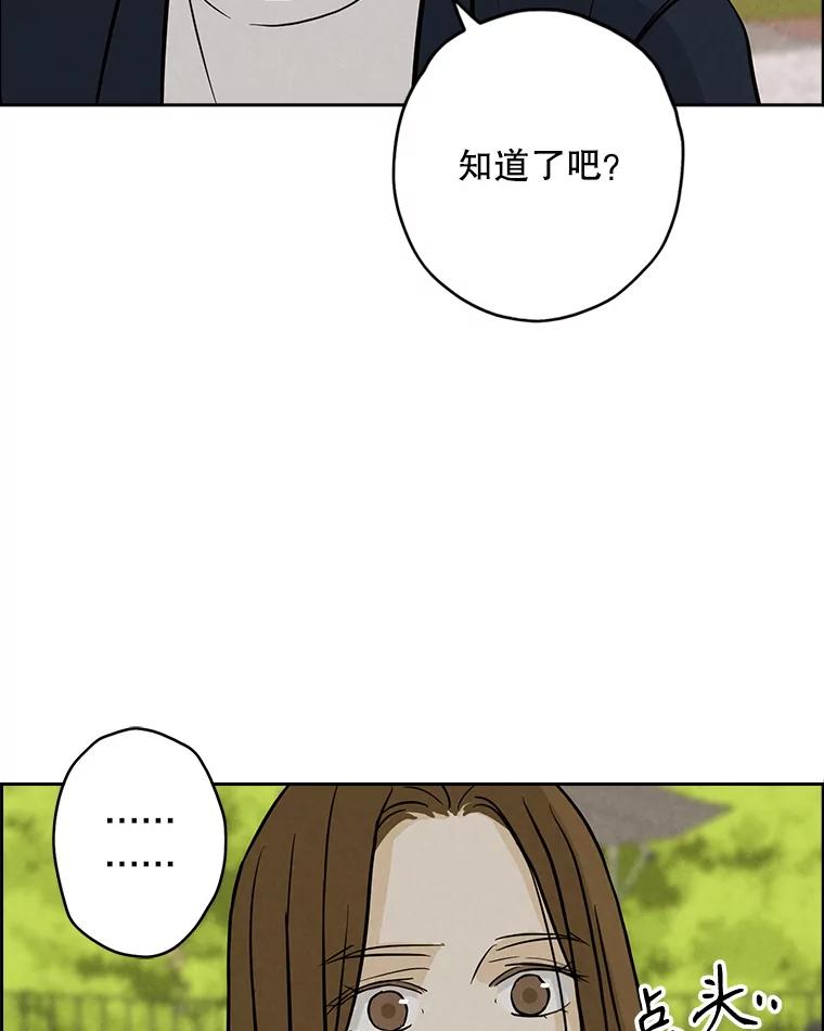 《消失的新郎》88.区别对待 第19页