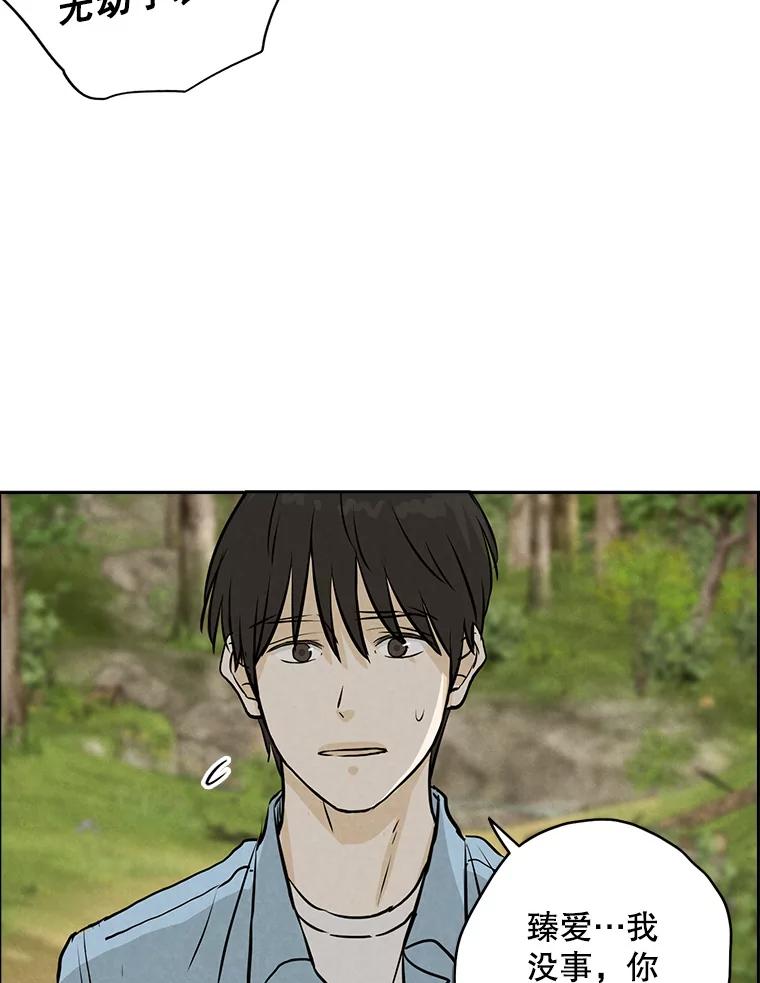 《消失的新郎》88.区别对待 第91页