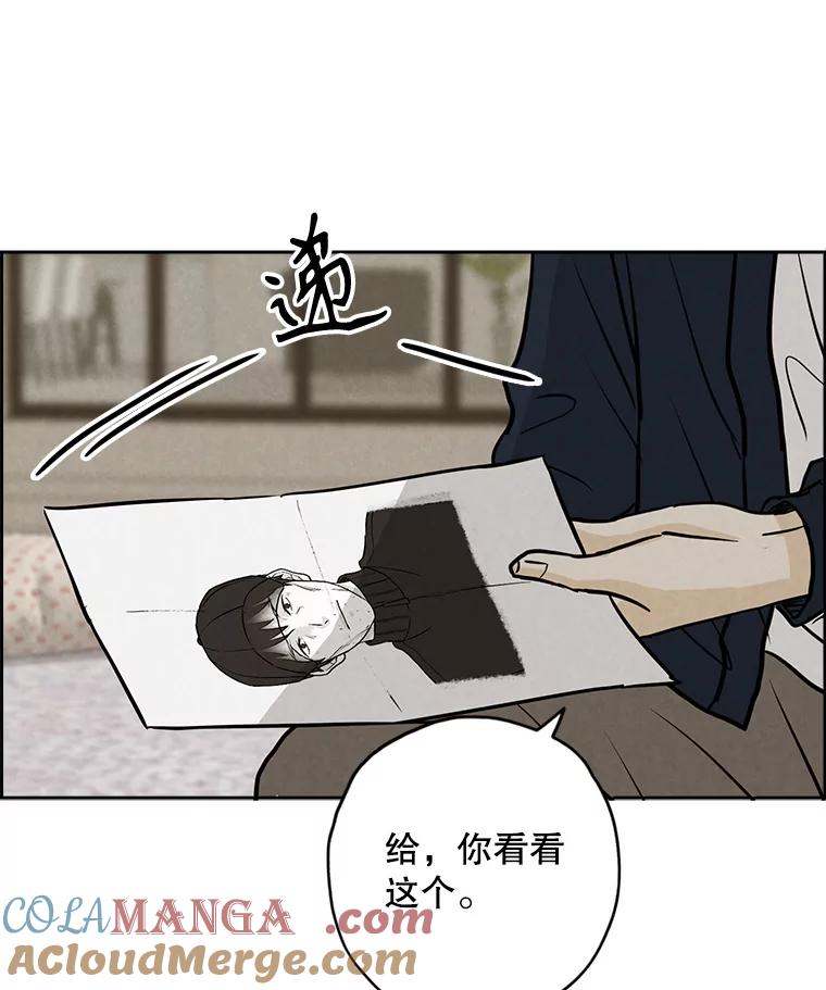 《消失的新郎》88.区别对待 第9页