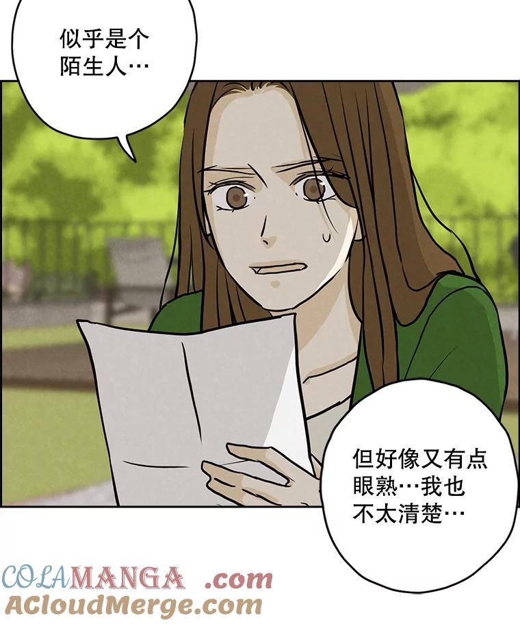 《消失的新郎》88.区别对待 第13页