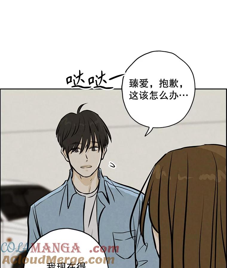 《消失的新郎》90.各自的要求 第17页