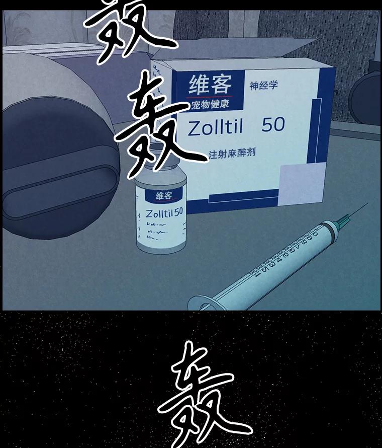 《消失的新郎》91.命运 第98页