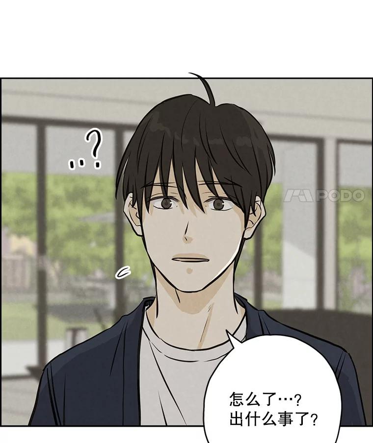 《消失的新郎》91.命运 第51页