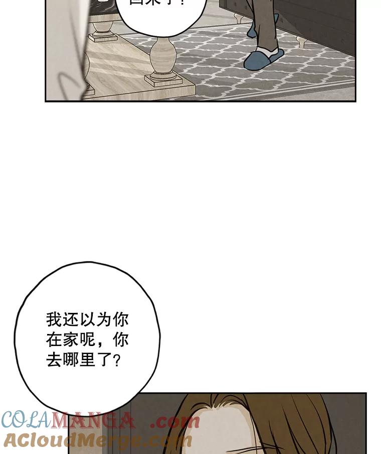 《消失的新郎》91.命运 第49页