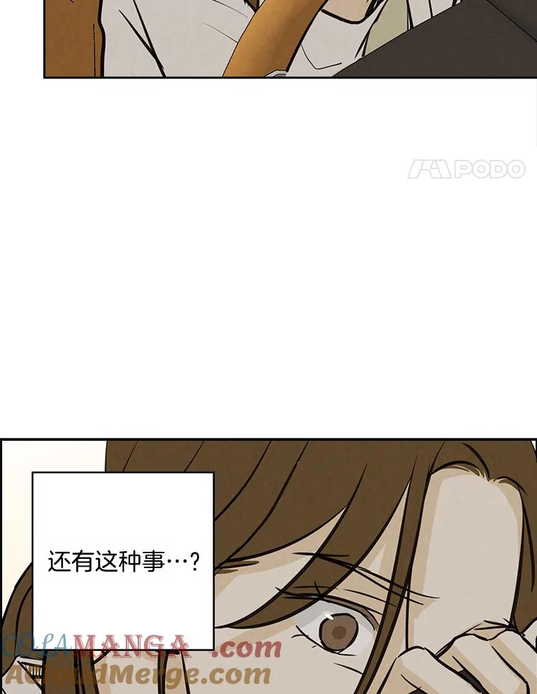 《消失的新郎》91.命运 第41页