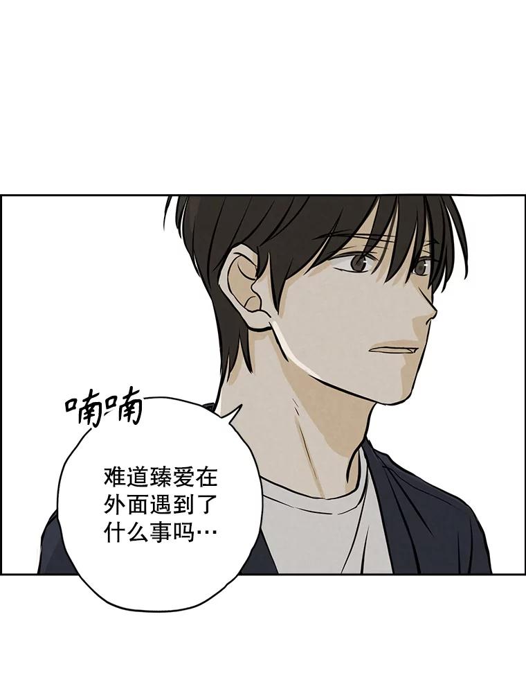 《消失的新郎》91.命运 第63页