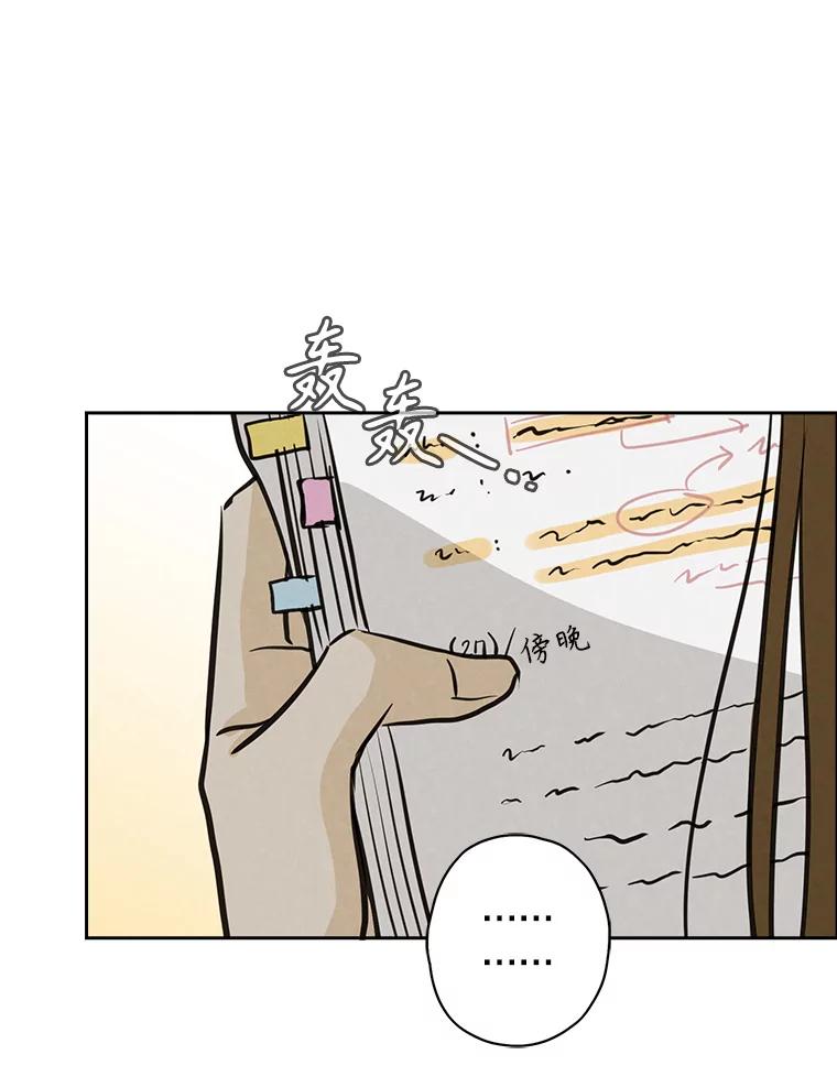 《消失的新郎》92.结束 第46页
