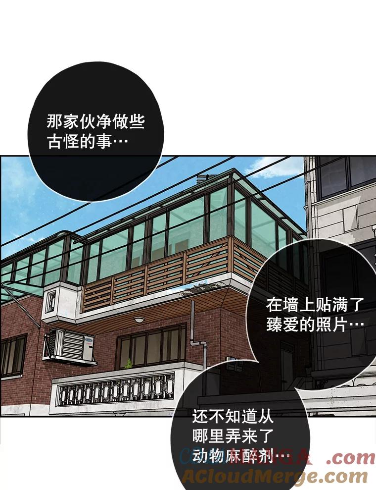 《消失的新郎》92.结束 第53页