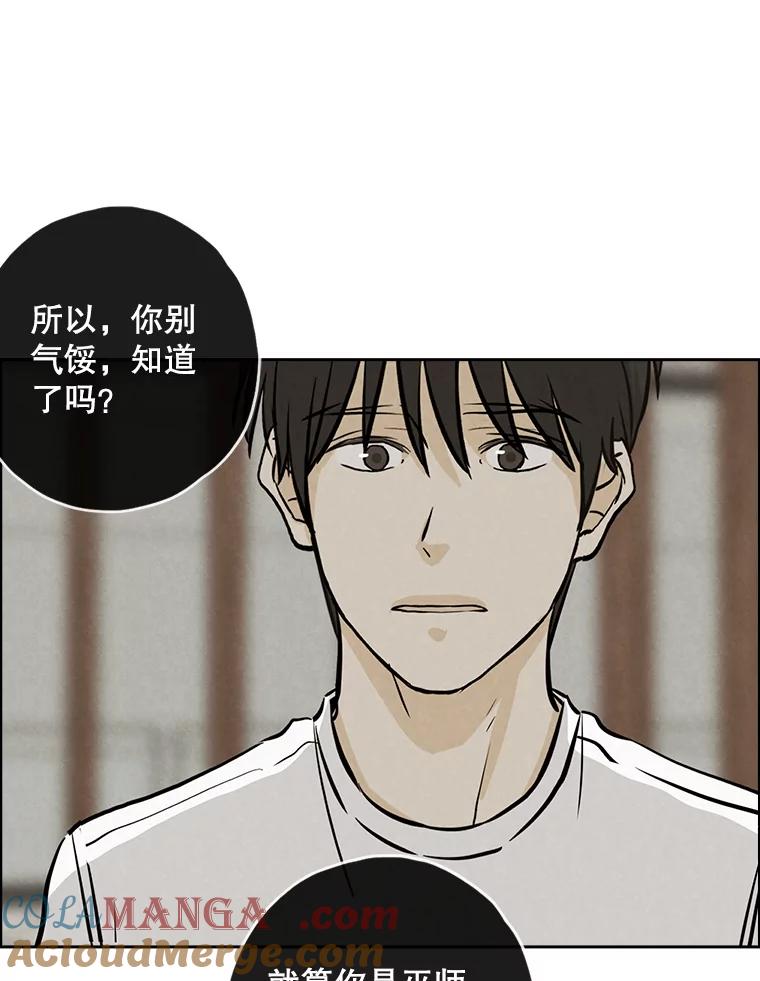 《消失的新郎》94.离别之日 第41页