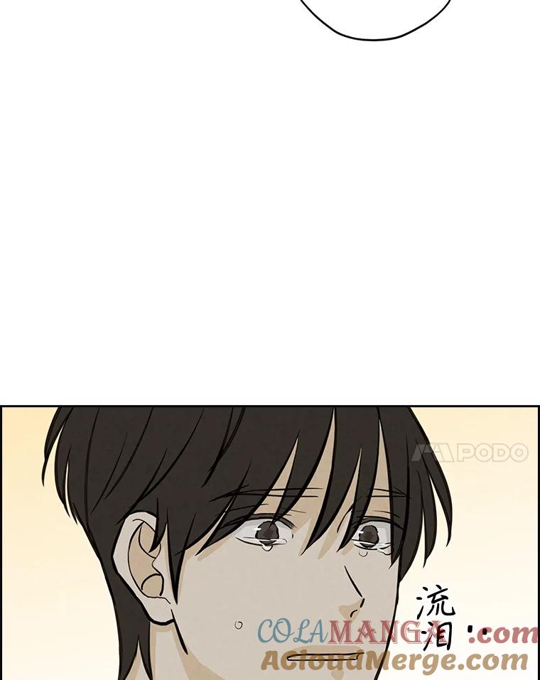 《消失的新郎》95.爱情就这样被送走了 第31页
