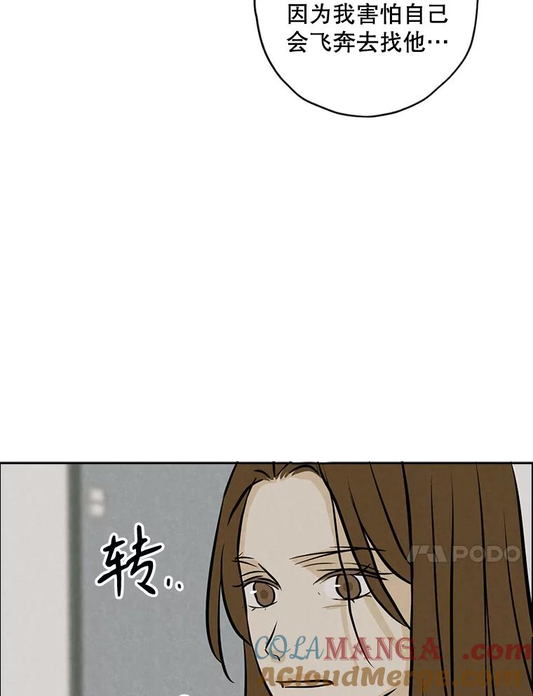 《消失的新郎》96.想念 第61页