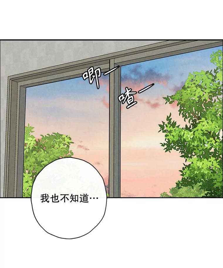 《消失的新郎》96.想念 第56页