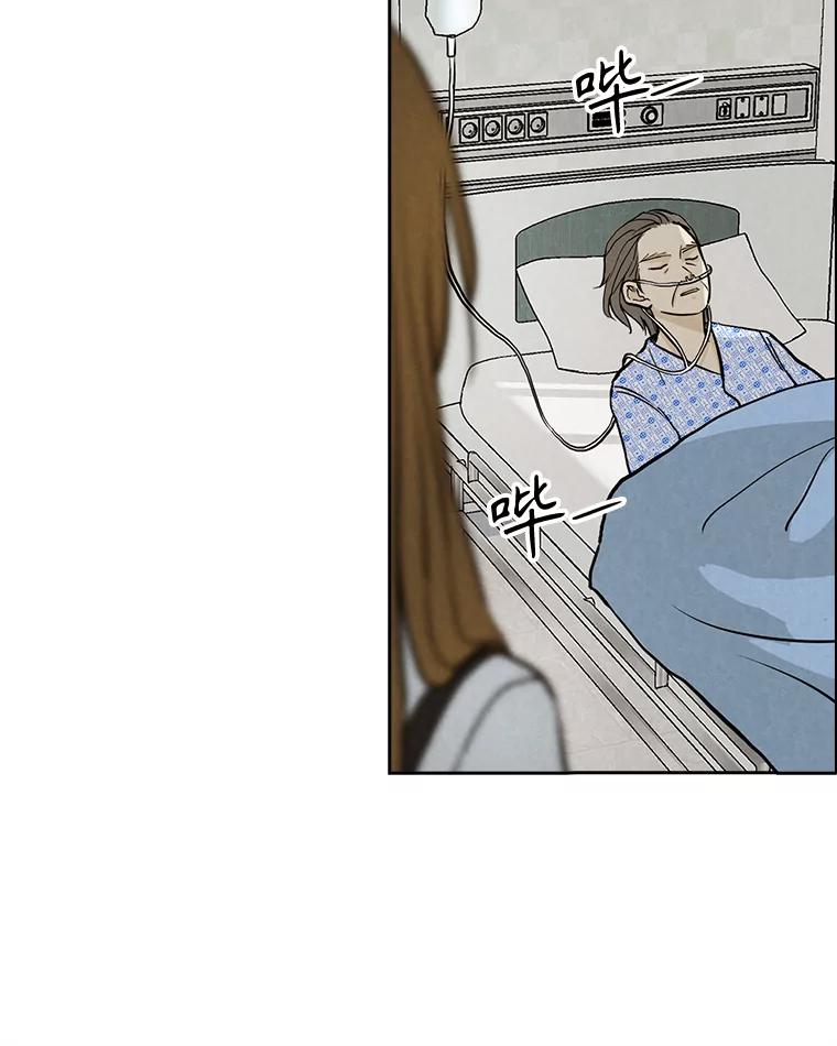 《消失的新郎》96.想念 第52页