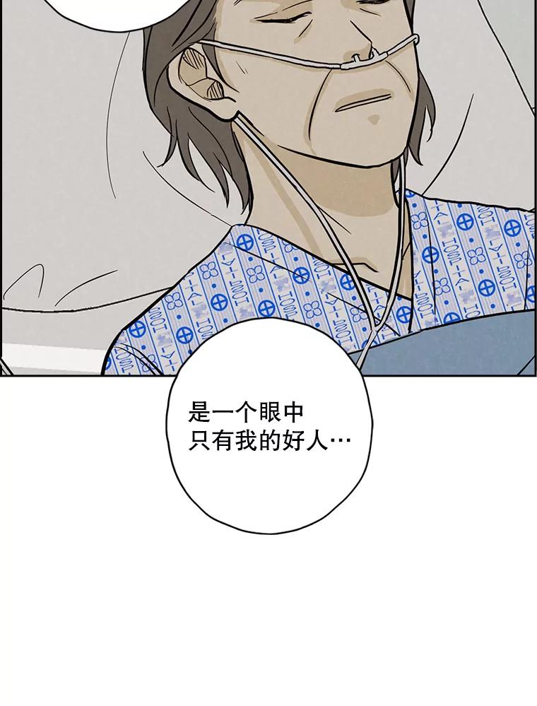 《消失的新郎》96.想念 第66页