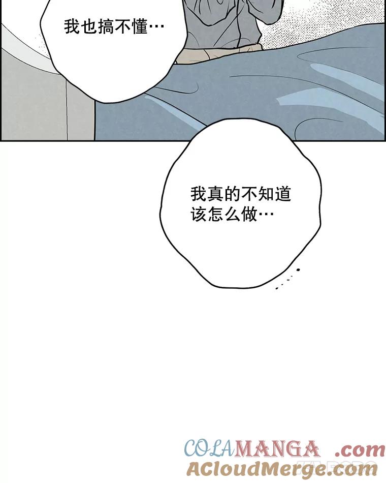 《消失的新郎》96.想念 第85页