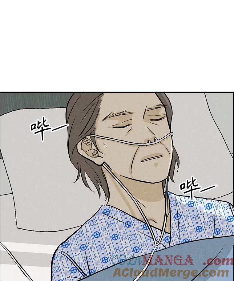 《消失的新郎》96.想念 第53页