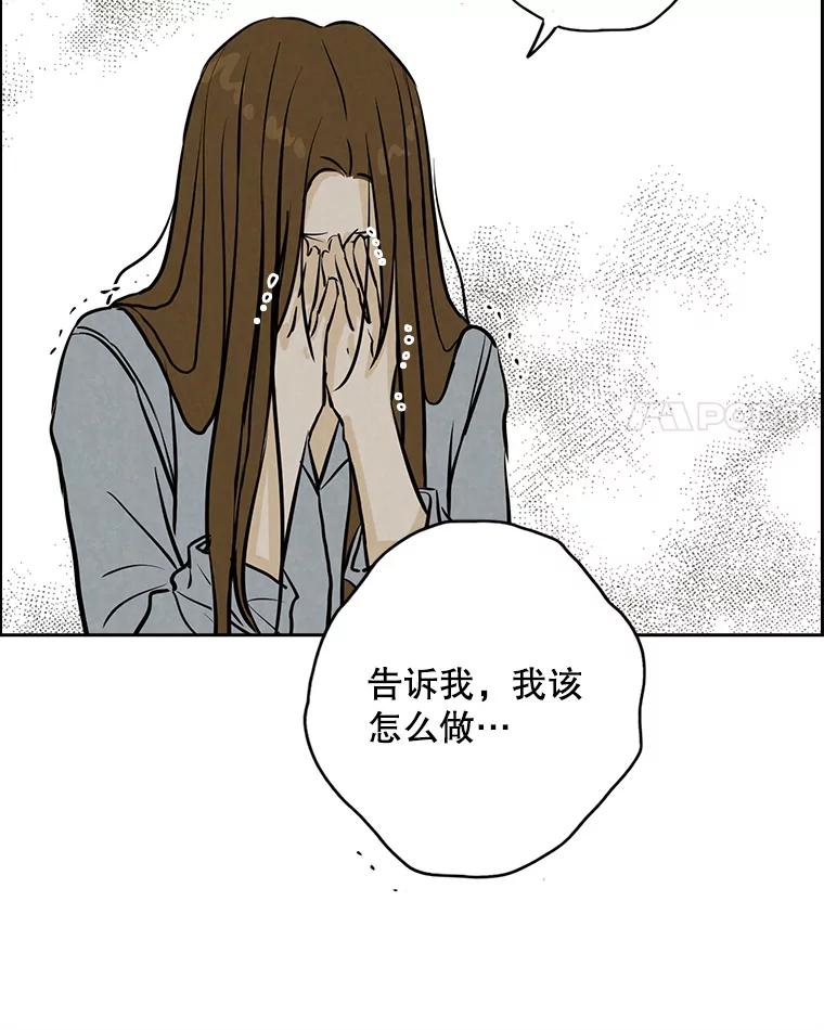 《消失的新郎》96.想念 第88页