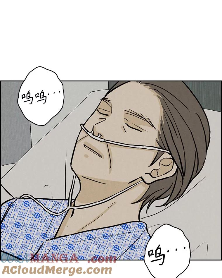 《消失的新郎》96.想念 第89页
