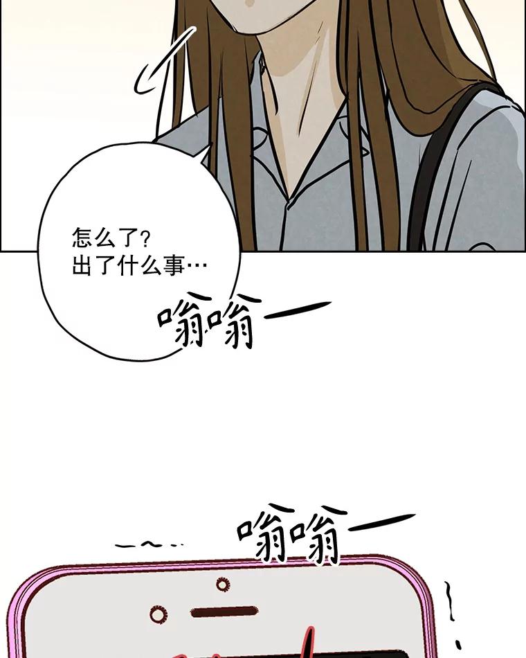 《消失的新郎》96.想念 第99页