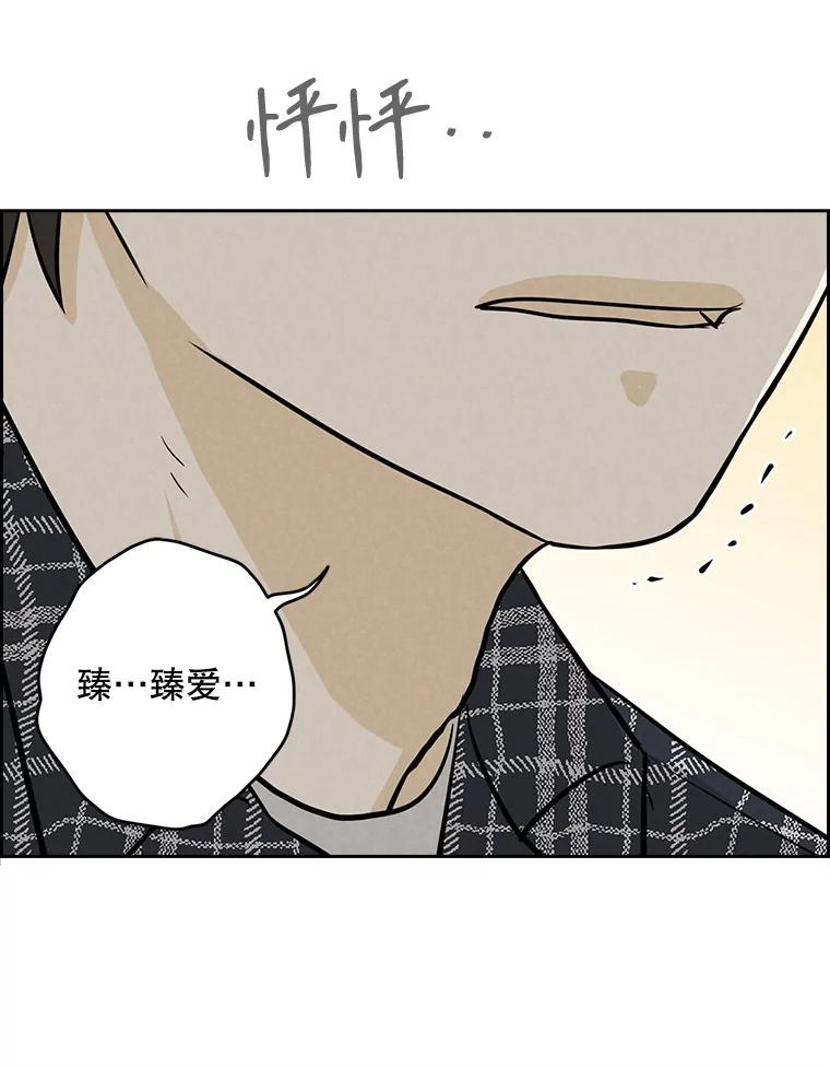 《消失的新郎》97.独家报道 第8页