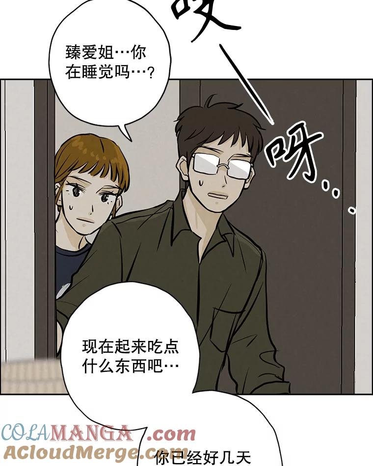 《消失的新郎》97.独家报道 第65页