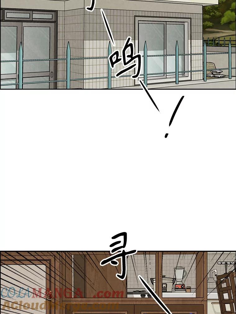 《消失的新郎》97.独家报道 第41页