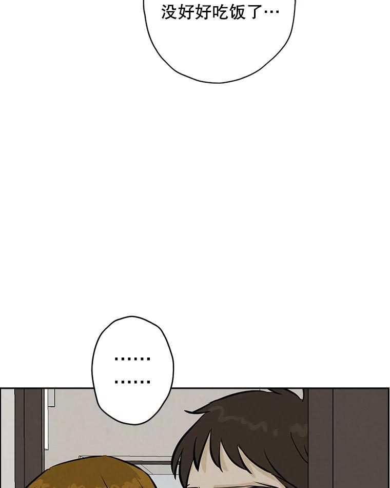 《消失的新郎》97.独家报道 第66页